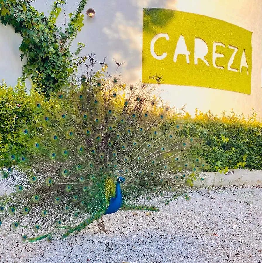 La Careza De Mijas - Adults Only Hotel